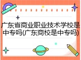 广东省商业职业技术学校是中专吗(广东商校是中专吗)