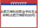 合肥万博科技职业学校怎么样啊(合肥万博职校如何)