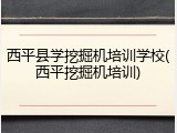 西平县学挖掘机培训学校(西平挖掘机培训)