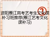 资阳雁江高考艺考生文化课补习班推荐(雁江艺考文化课补习)