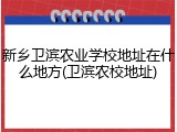 新乡卫滨农业学校地址在什么地方(卫滨农校地址)