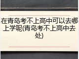 在青岛考不上高中可以去哪上学呢(青岛考不上高中去处)