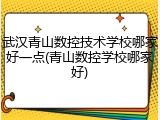 武汉青山数控技术学校哪家好一点(青山数控学校哪家好)
