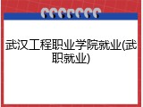 武汉工程职业学院就业(武职就业)
