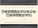 巴音郭楞数控学校有没有(巴音郭楞数控学校)