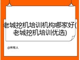老城挖机培训机构哪家好(老城挖机培训优选)