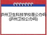 庐州卫生科技学校是公办吗(庐州卫校公办吗)