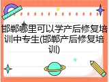 邯郸哪里可以学产后修复培训中专生(邯郸产后修复培训)