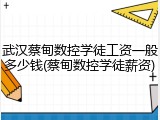 武汉蔡甸数控学徒工资一般多少钱(蔡甸数控学徒薪资)