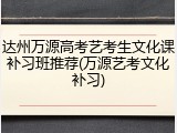 达州万源高考艺考生文化课补习班推荐(万源艺考文化补习)