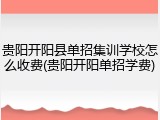 贵阳开阳县单招集训学校怎么收费(贵阳开阳单招学费)