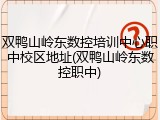 双鸭山岭东数控培训中心职中校区地址(双鸭山岭东数控职中)