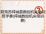 阿克苏拜城县数控机床培训班学费(拜城数控机床培训费)
