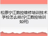 松原宁江数控维修培训技术学校怎么样(宁江数控培训如何)