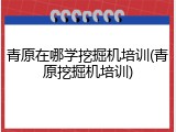 青原在哪学挖掘机培训(青原挖掘机培训)