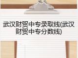 武汉财贸中专录取线(武汉财贸中专分数线)