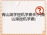 青山湖学挖机学费多少(青山湖挖机学费)