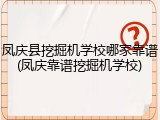 凤庆县挖掘机学校哪家靠谱(凤庆靠谱挖掘机学校)