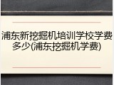 浦东新挖掘机培训学校学费多少(浦东挖掘机学费)