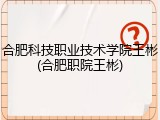 合肥科技职业技术学院王彬(合肥职院王彬)