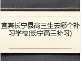 宜宾长宁县高三生去哪个补习学校(长宁高三补习)