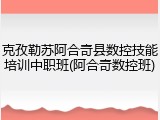 克孜勒苏阿合奇县数控技能培训中职班(阿合奇数控班)