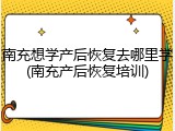 南充想学产后恢复去哪里学(南充产后恢复培训)