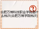 合肥万博科技职业学院是什么档次(合肥万博学院档次)