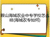 鞍山海城农业中专学校怎么样(海城农专如何)