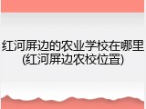 红河屏边的农业学校在哪里(红河屏边农校位置)