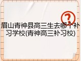 眉山青神县高三生去哪个补习学校(青神高三补习校)