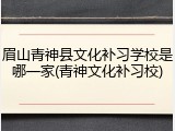 眉山青神县文化补习学校是哪一家(青神文化补习校)