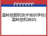 温岭挖掘机技术培训学校(温岭挖机培训)