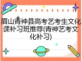 眉山青神县高考艺考生文化课补习班推荐(青神艺考文化补习)