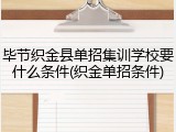 毕节织金县单招集训学校要什么条件(织金单招条件)