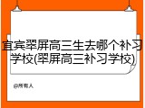 宜宾翠屏高三生去哪个补习学校(翠屏高三补习学校)