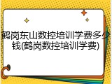 鹤岗东山数控培训学费多少钱(鹤岗数控培训学费)
