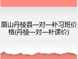 眉山丹棱县一对一补习班价格(丹棱一对一补课价)
