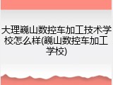 大理巍山数控车加工技术学校怎么样(巍山数控车加工学校)