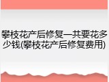 攀枝花产后修复一共要花多少钱(攀枝花产后修复费用)