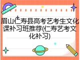 眉山仁寿县高考艺考生文化课补习班推荐(仁寿艺考文化补习)
