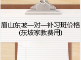 眉山东坡一对一补习班价格(东坡家教费用)