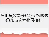 眉山东坡高考补习学校哪家好(东坡高考补习推荐)