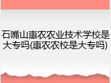 石嘴山惠农农业技术学校是大专吗(惠农农校是大专吗)