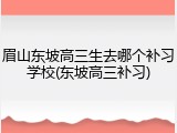 眉山东坡高三生去哪个补习学校(东坡高三补习)