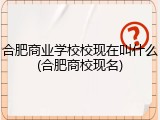 合肥商业学校校现在叫什么(合肥商校现名)