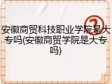 安徽商贸科技职业学院是大专吗(安徽商贸学院是大专吗)