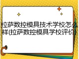 拉萨数控模具技术学校怎么样(拉萨数控模具学校评价)