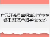广元旺苍县单招集训学校在哪里(旺苍单招学校地址)