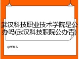 武汉科技职业技术学院是公办吗(武汉科技职院公办否)